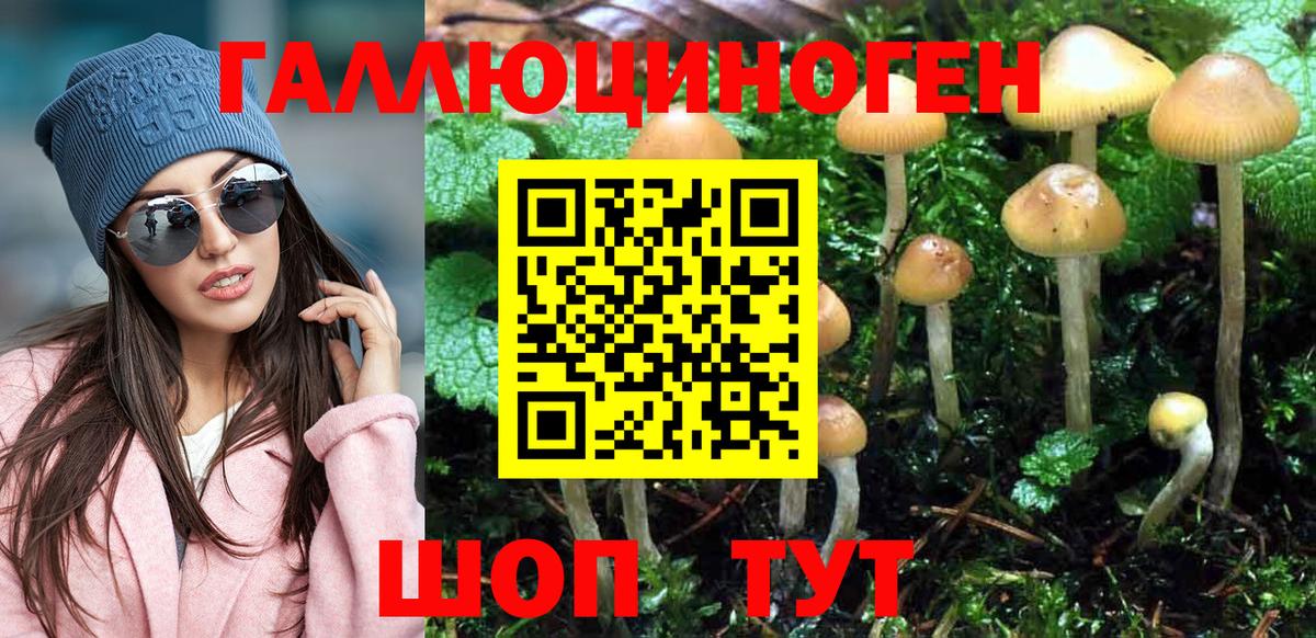 Галлюциногенные грибы MAGIC MUSHROOMS  Вход с VPN  Азнакаево 